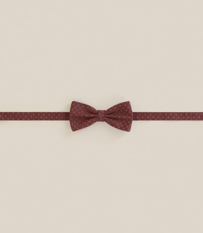 Noeud papillon à motifs terracotta - IZAC