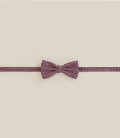 Noeud papillon à motifs violet - IZAC