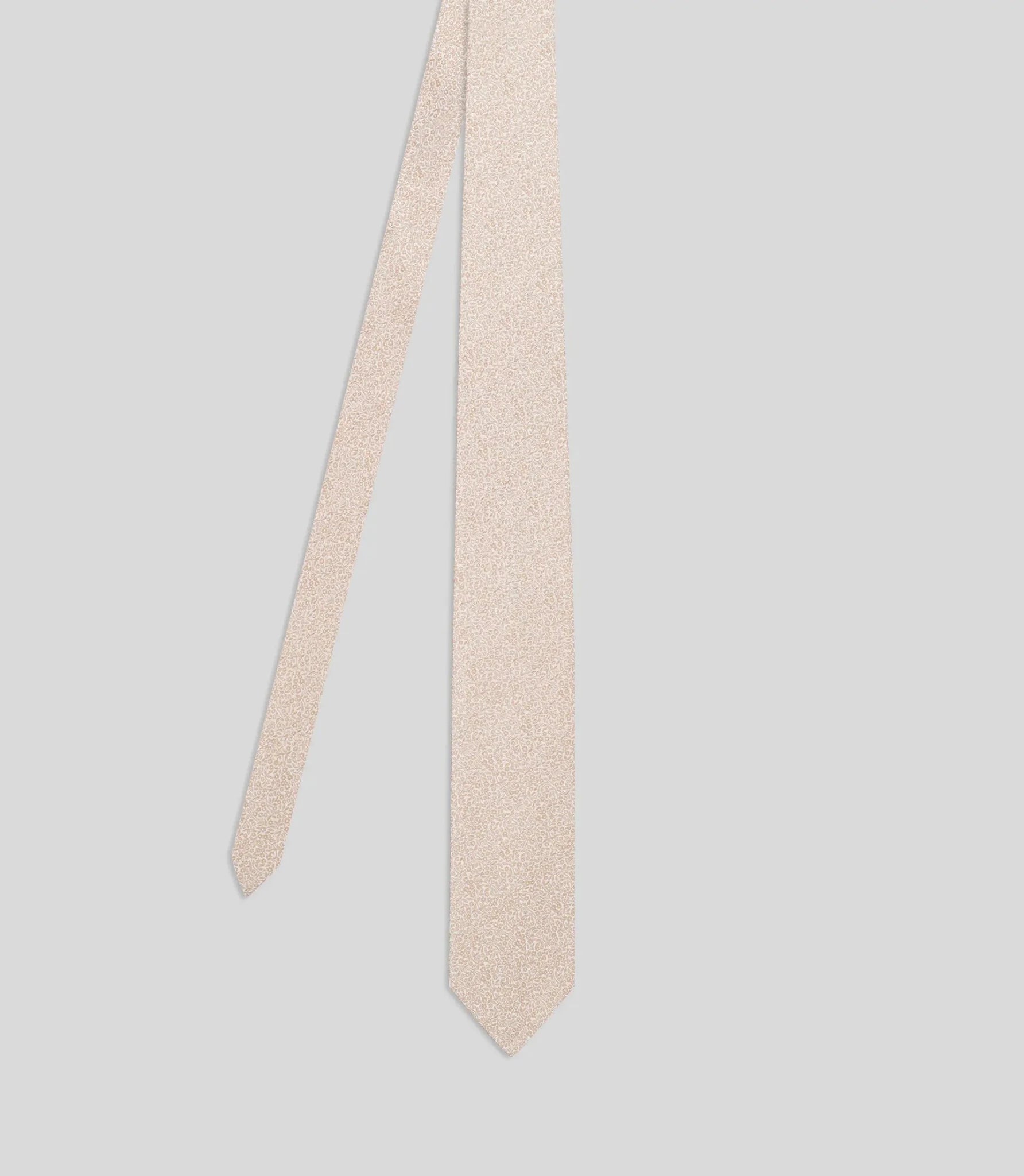 Cravate fantaisie beige - IZAC