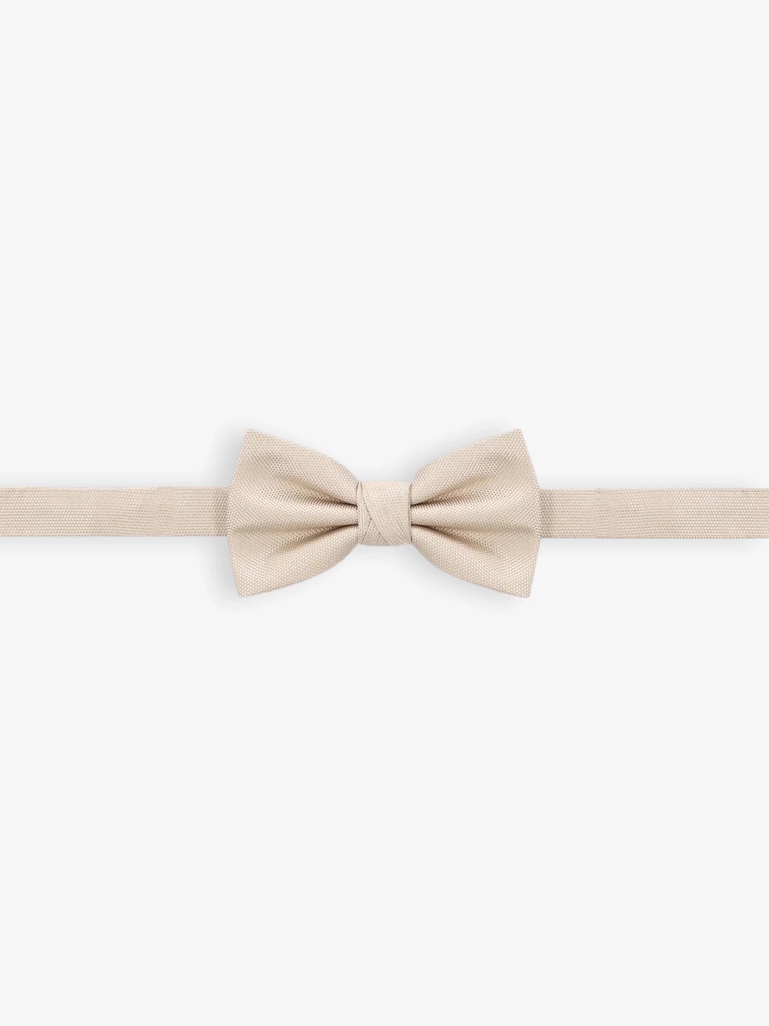 Noeud papillon uni beige - IZAC