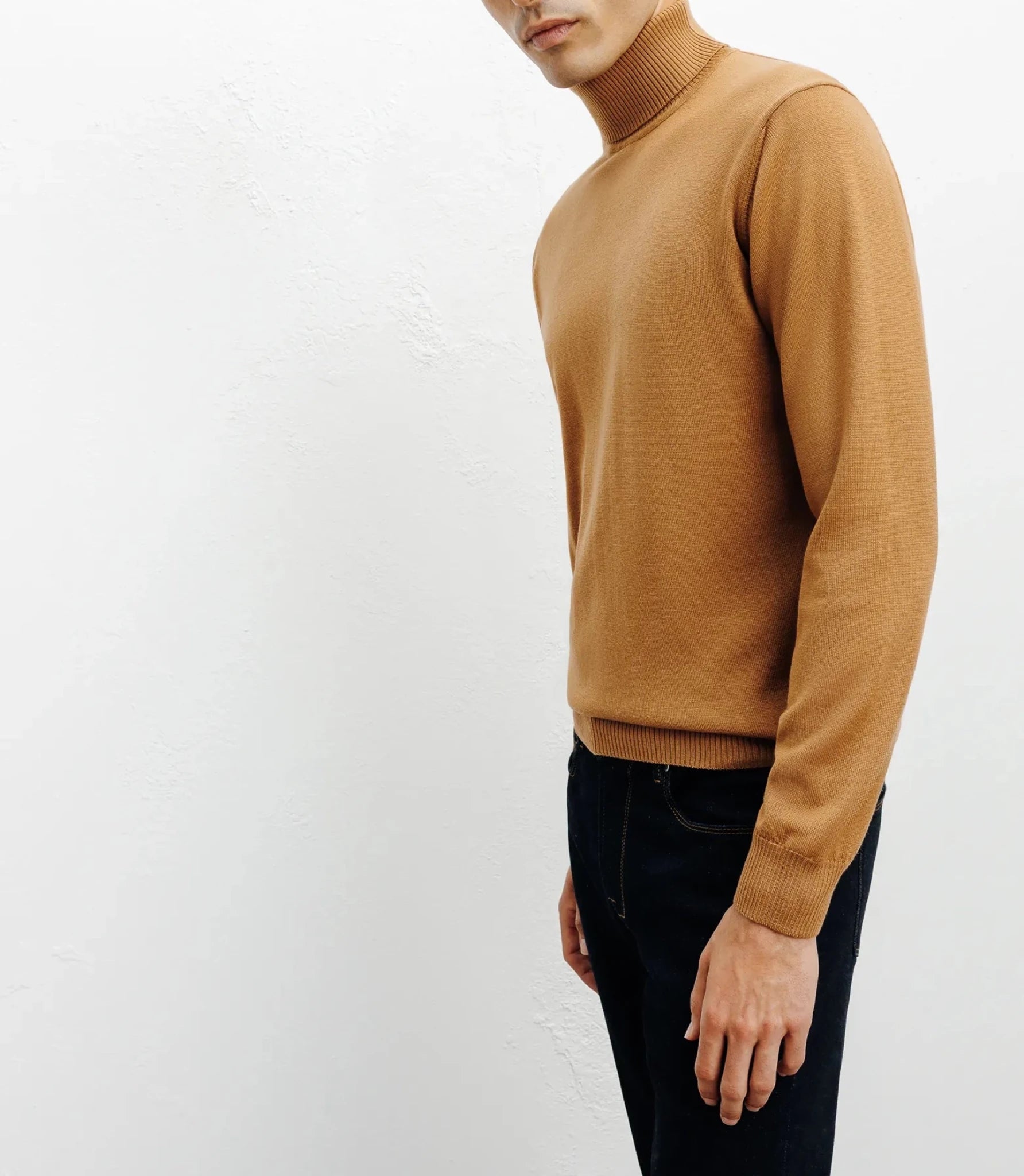 Pull col roulé camel - IZAC