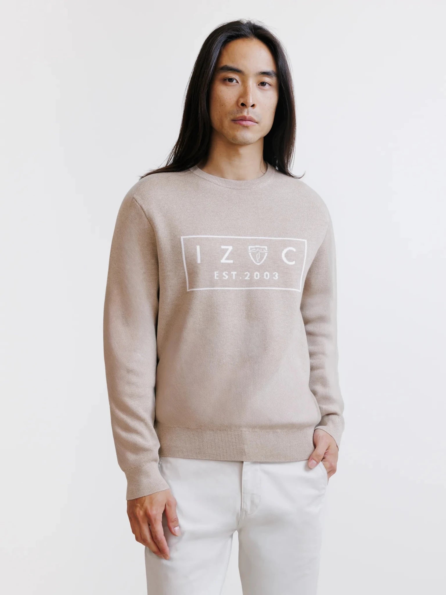 Pull jacquard col rond beige - IZAC