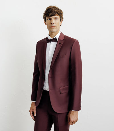 Costume 2 boutons laine majoritaire prune - IZAC