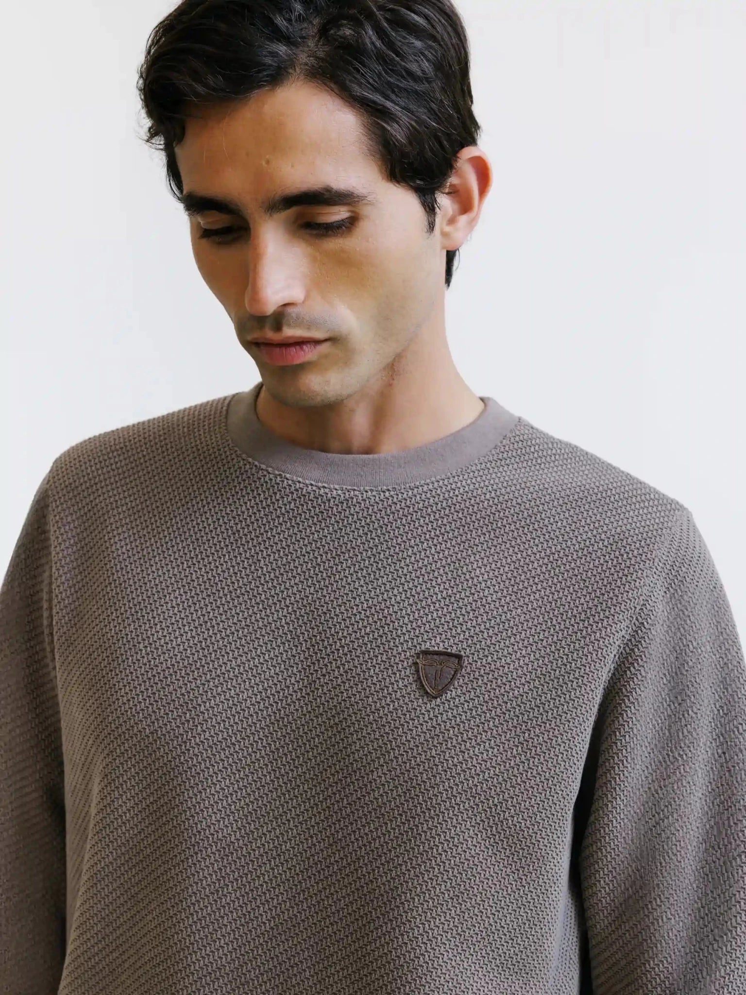 Chestnut crew neck jumper with fancy knit