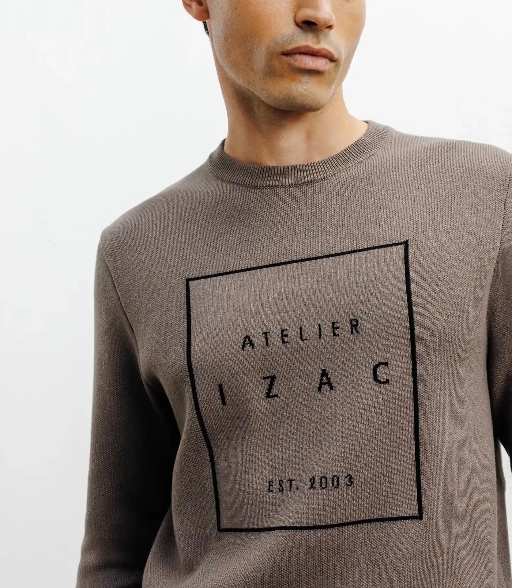 Pull col rond fantaisie chatain - IZAC