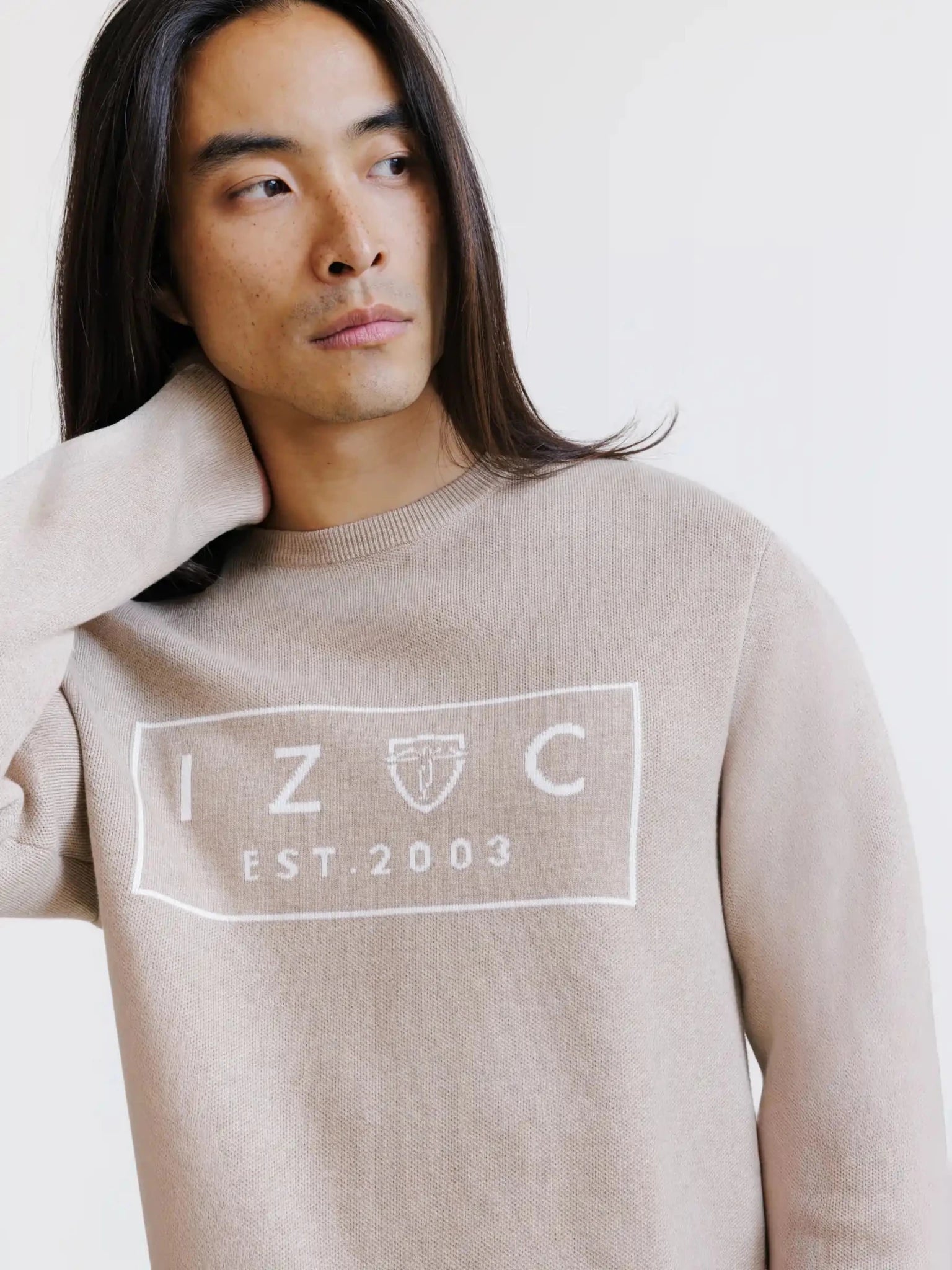 Pull jacquard col rond beige - IZAC