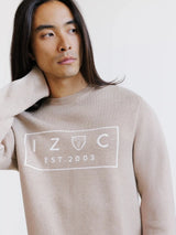Pull jacquard col rond beige