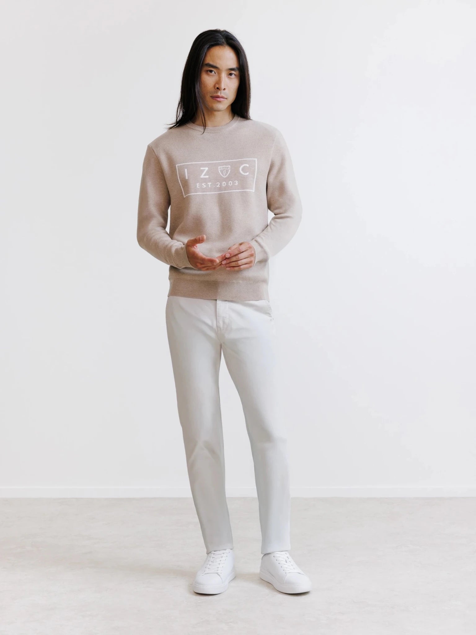 Pull jacquard col rond beige - IZAC