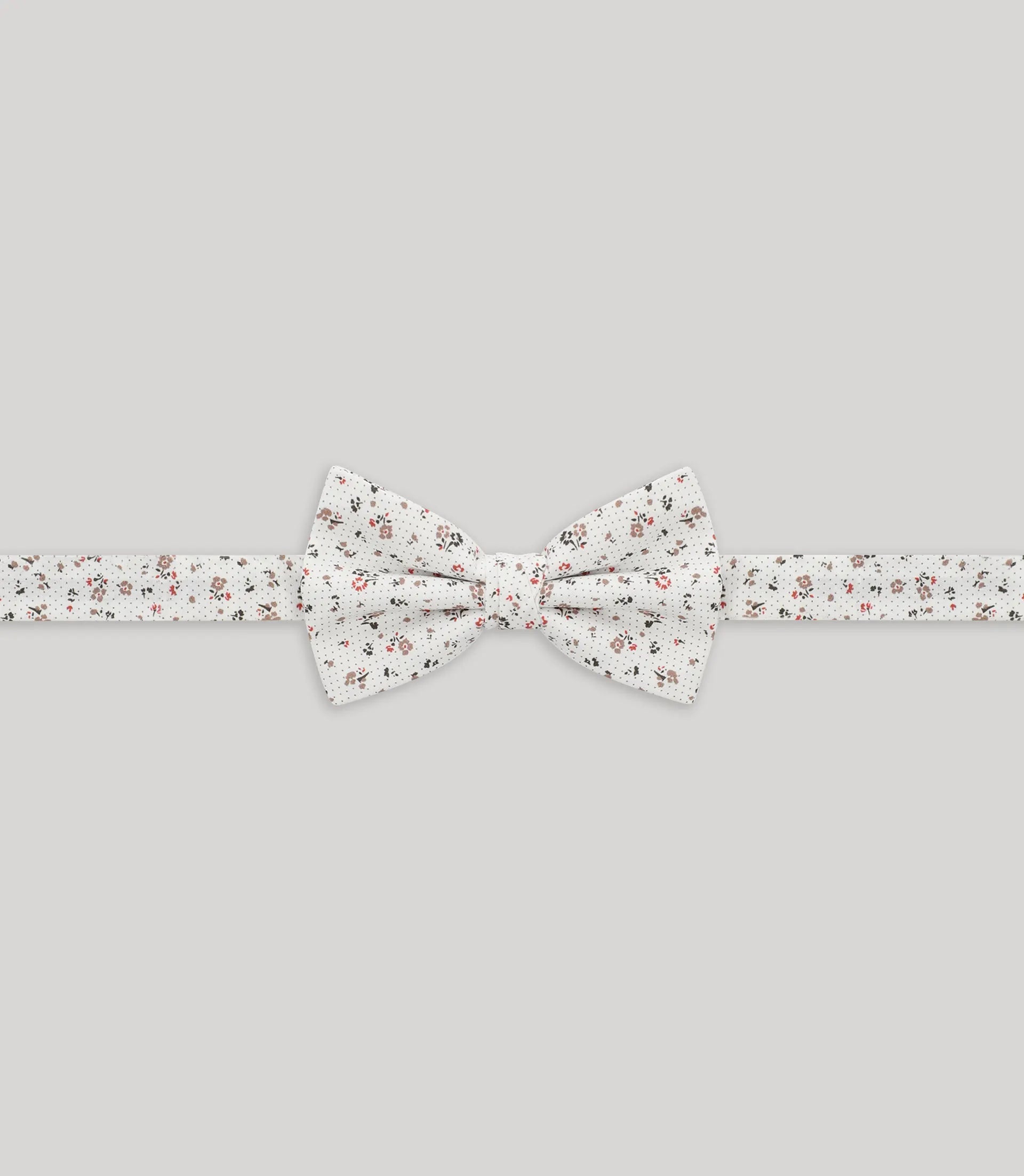 Noeud papillon fantaisie beige - IZAC