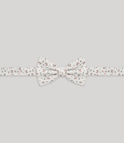 Noeud papillon fantaisie beige - IZAC