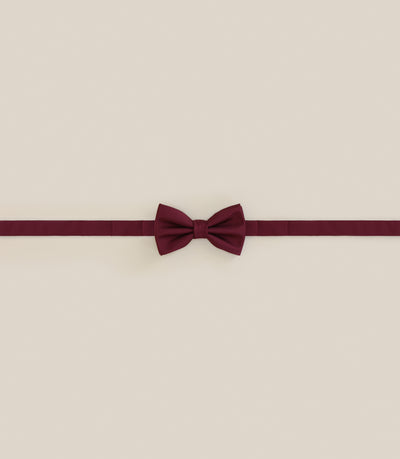 Noeud papillon 100% soie bordeaux - IZAC