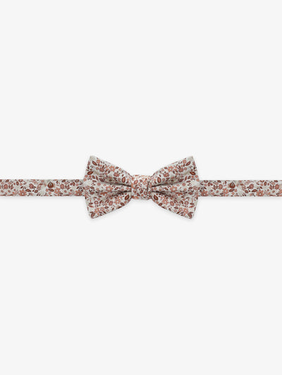 Brick-colored fancy bow tie