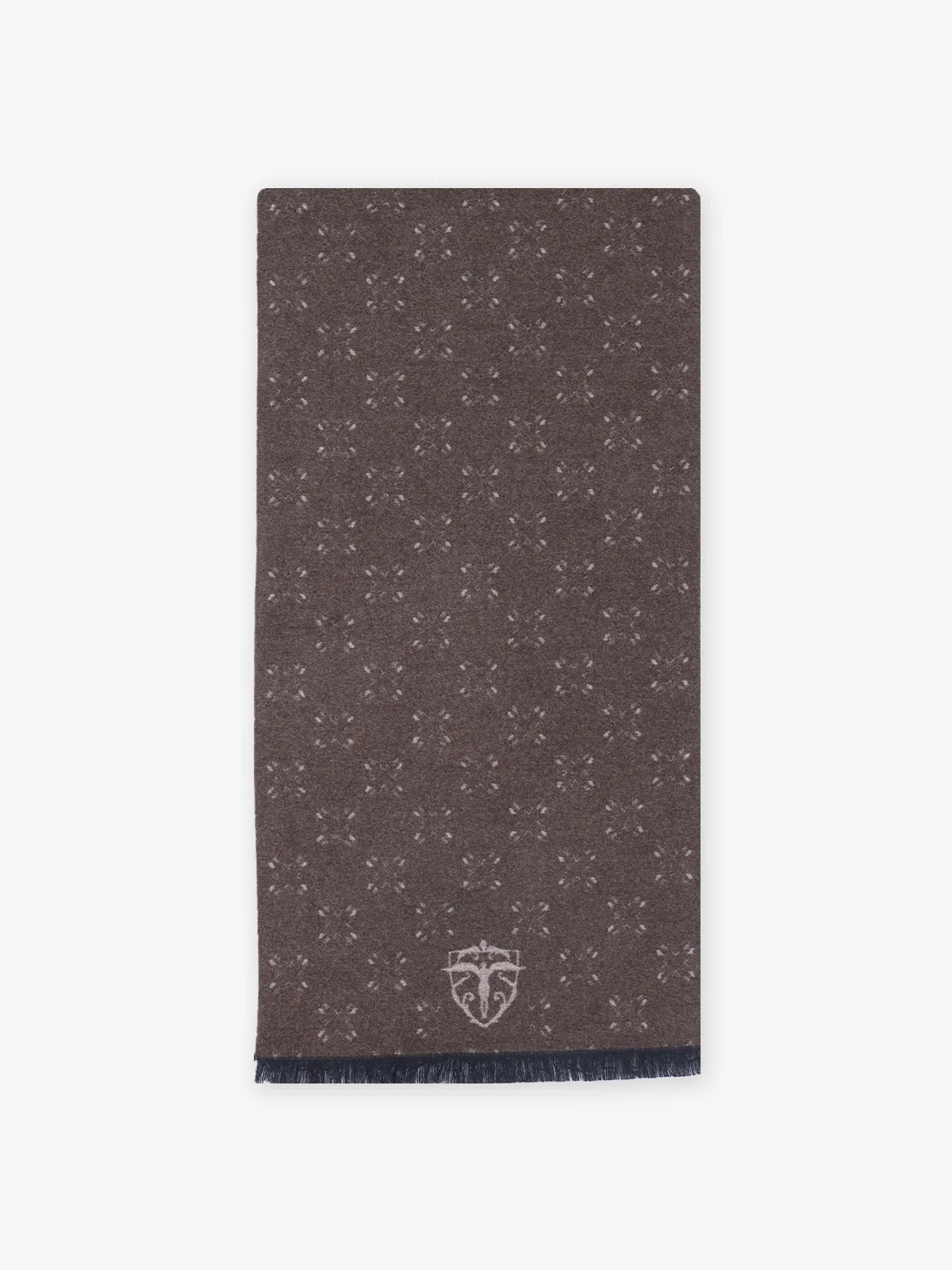 Écharpe beige - IZAC