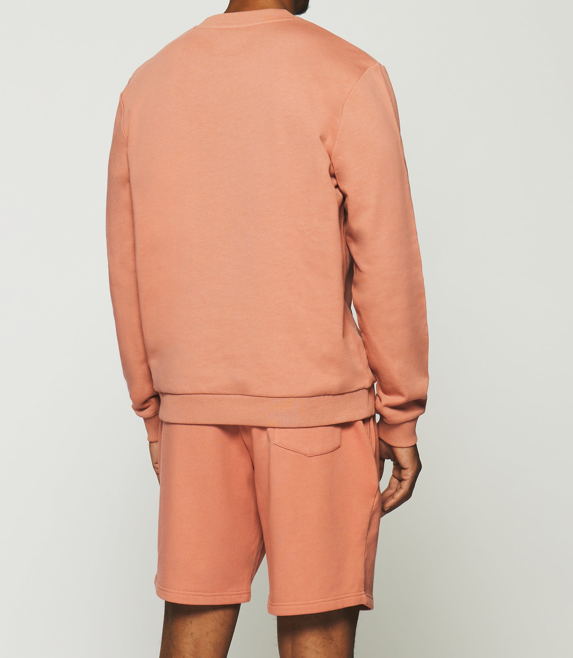 Long sleeve sweatshirt SWDARREN