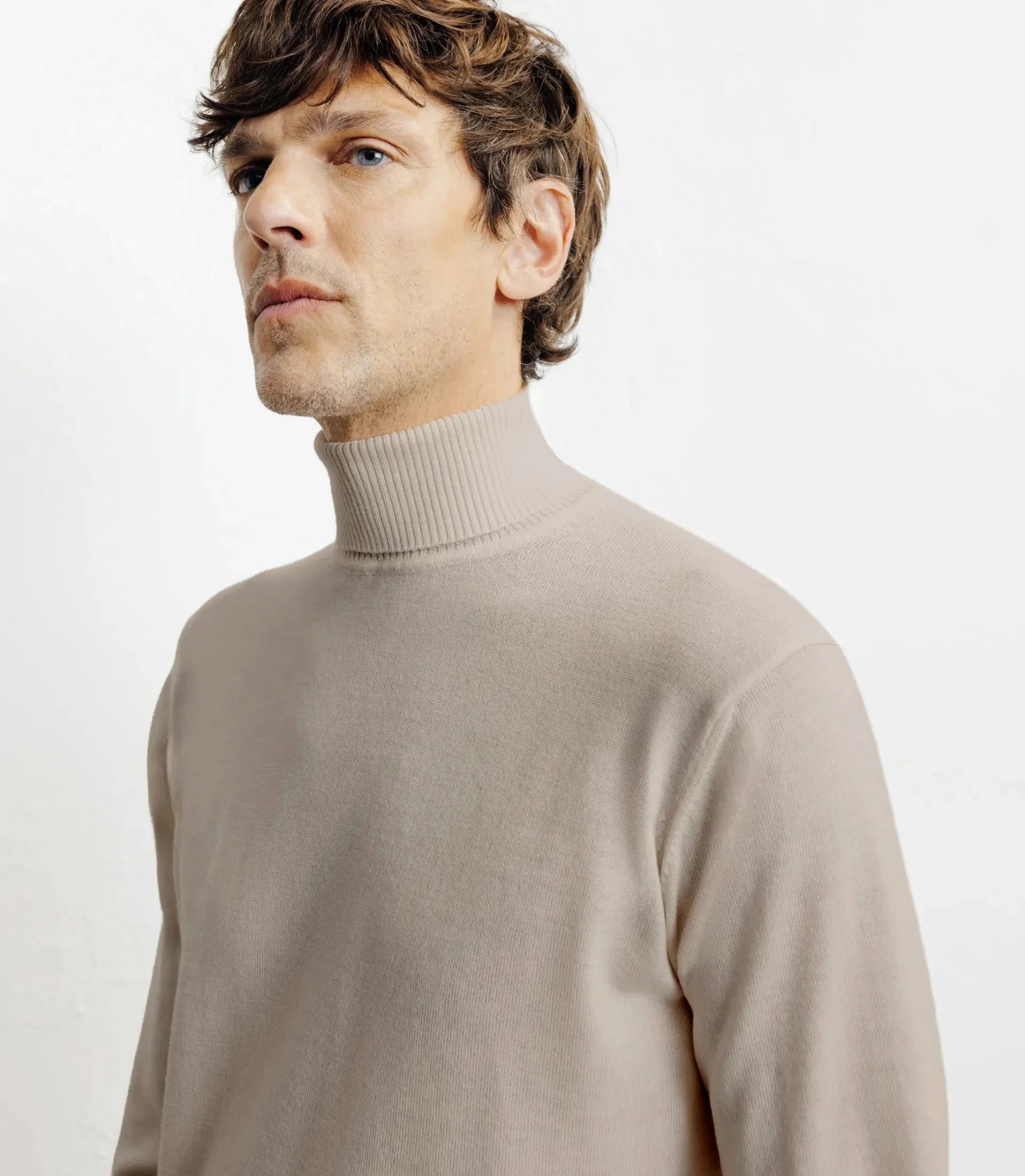 Pull col roulé en laine mérinos beige