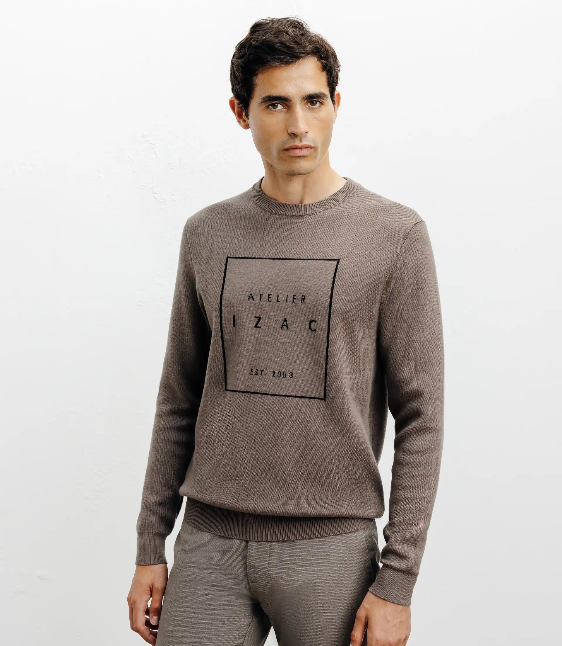 Pull col rond fantaisie chatain - IZAC