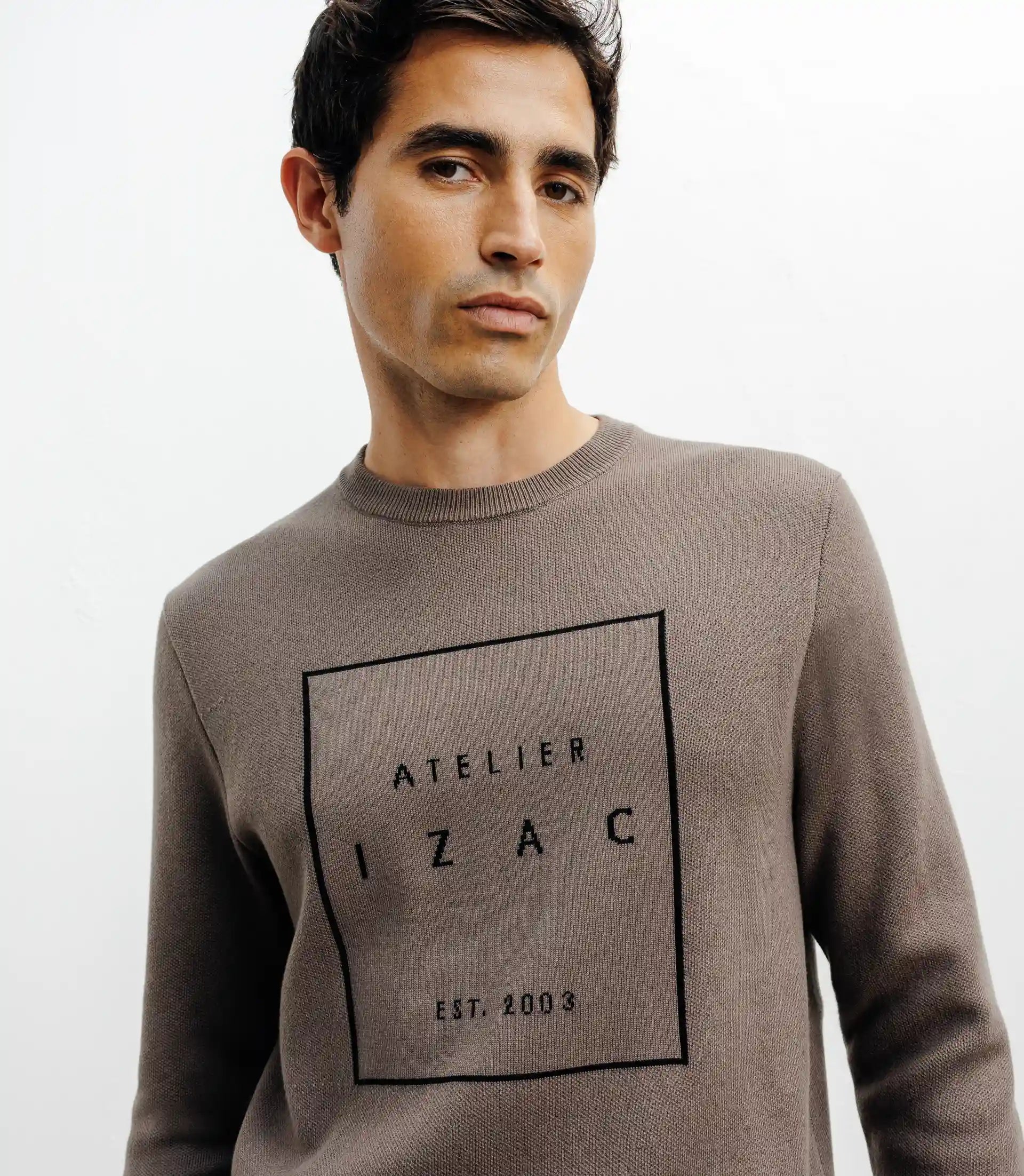 Pull col rond fantaisie chatain - IZAC