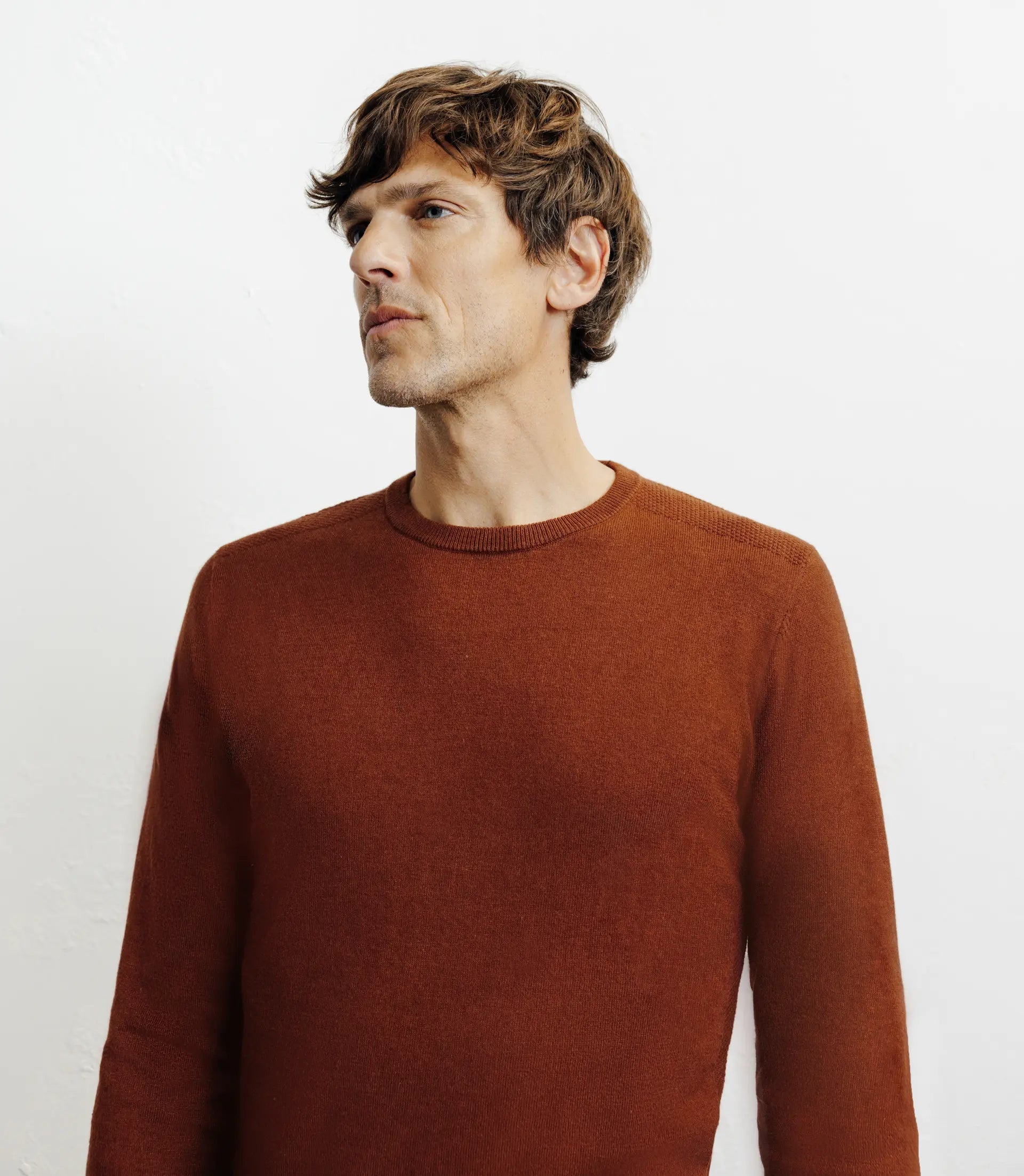 Pull col rond en coton rouille - IZAC