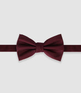 Bordeaux silk bow tie NPMARTINE