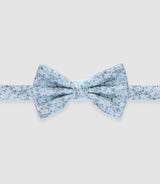 Light blue bow tie NPUPAS